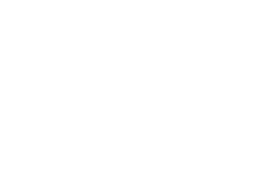 Scott Salisbury Homes Logo