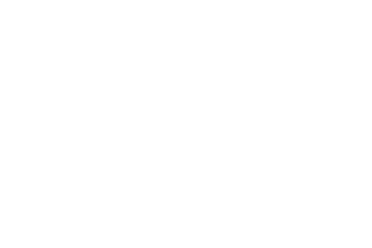 Scott Salisbury Renovations logo